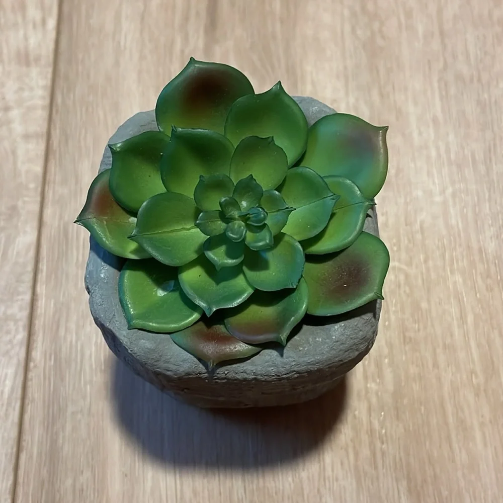 🌟Host Pick🌟Square Potted Faux Succulent
